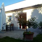 Pronavtik