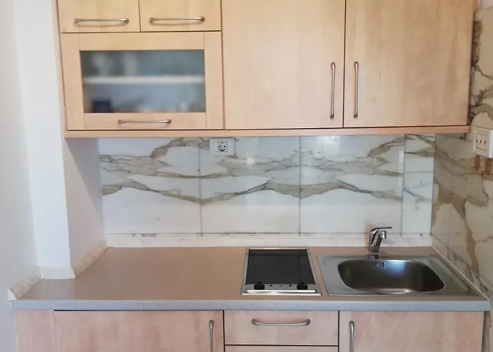 דירה Pronavtik *